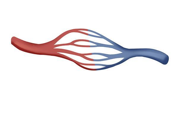 感觉睡觉特别累浑身难受什么原因,全身没力气感觉很累是怎么回事