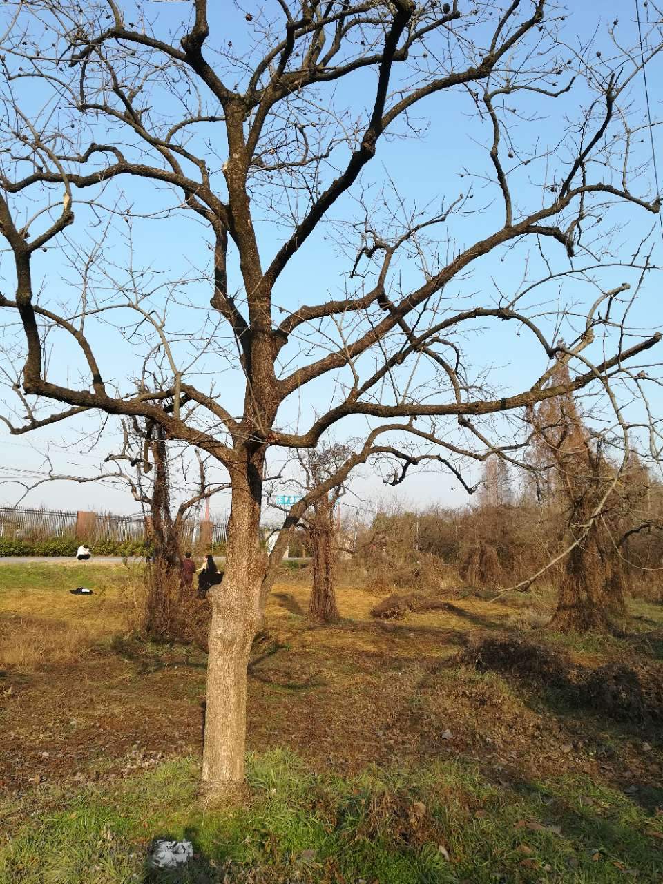 淮南湿地风光视频,淮南公园景点大全