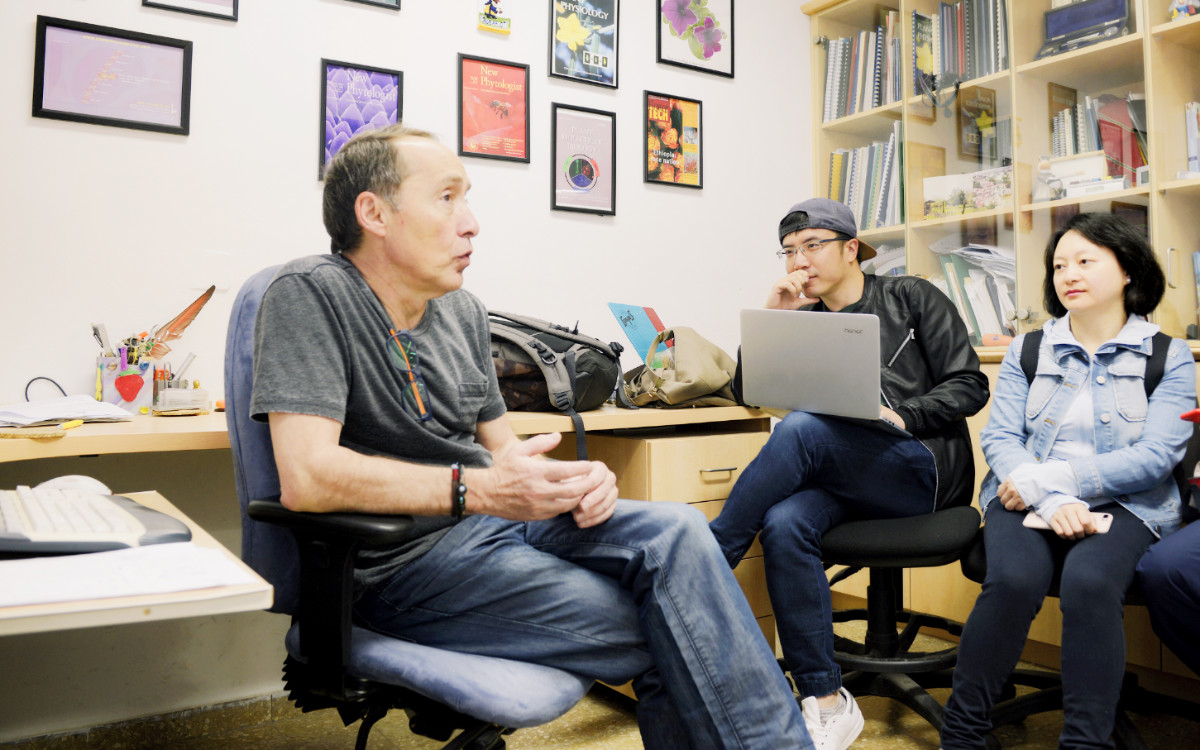 如何玩转荣耀magicbook16pro,荣耀最新笔记本magicbook16pro