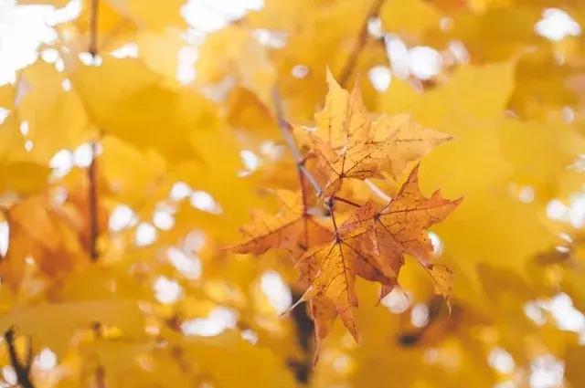 十一省内游,十一国内旅游景点有哪些