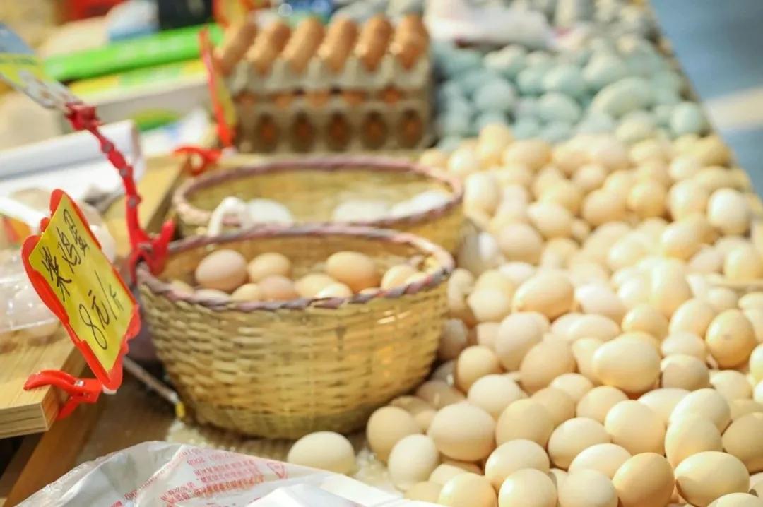 最便宜的北京花市,北京超好逛的花市