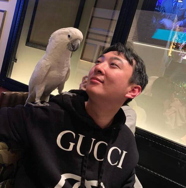 王思聪的狗可可最近怎样了,王思聪养宠物