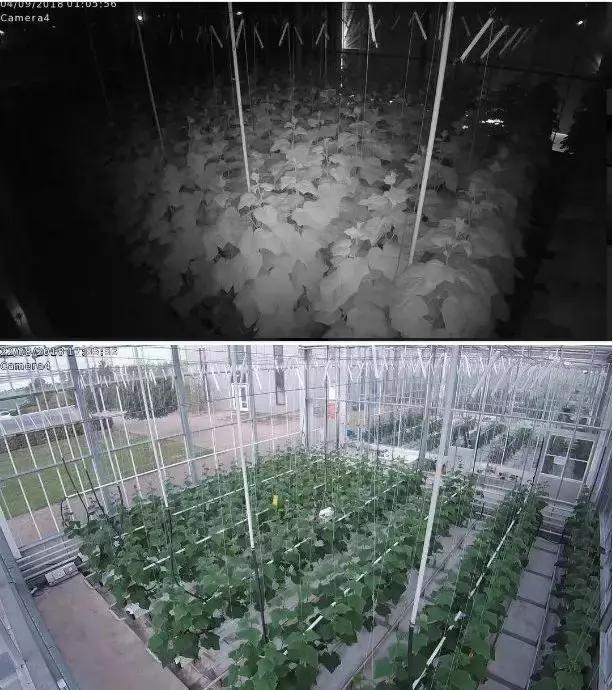 马化腾进军电商市场,腾讯马化腾下一步战略