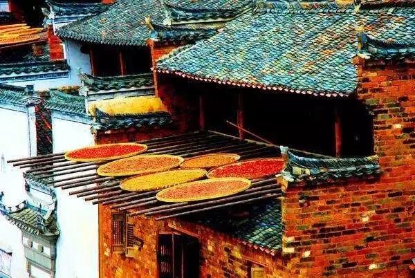 六月我们一起去旅行,九月带你去旅行