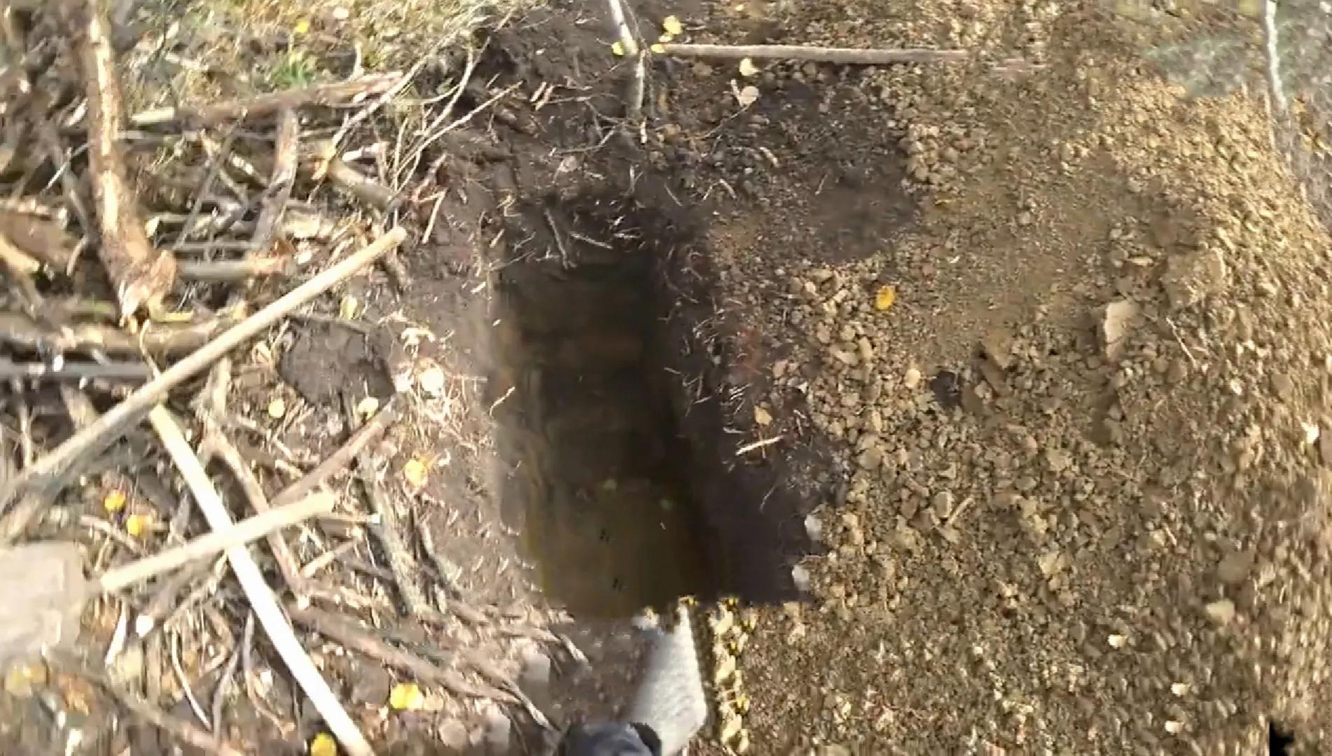 挑山的男人照片,挑山的男人免费阅读