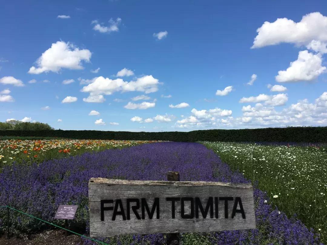 这辆雅马哈YA-1，是你记忆中的红蜻蜓吗？