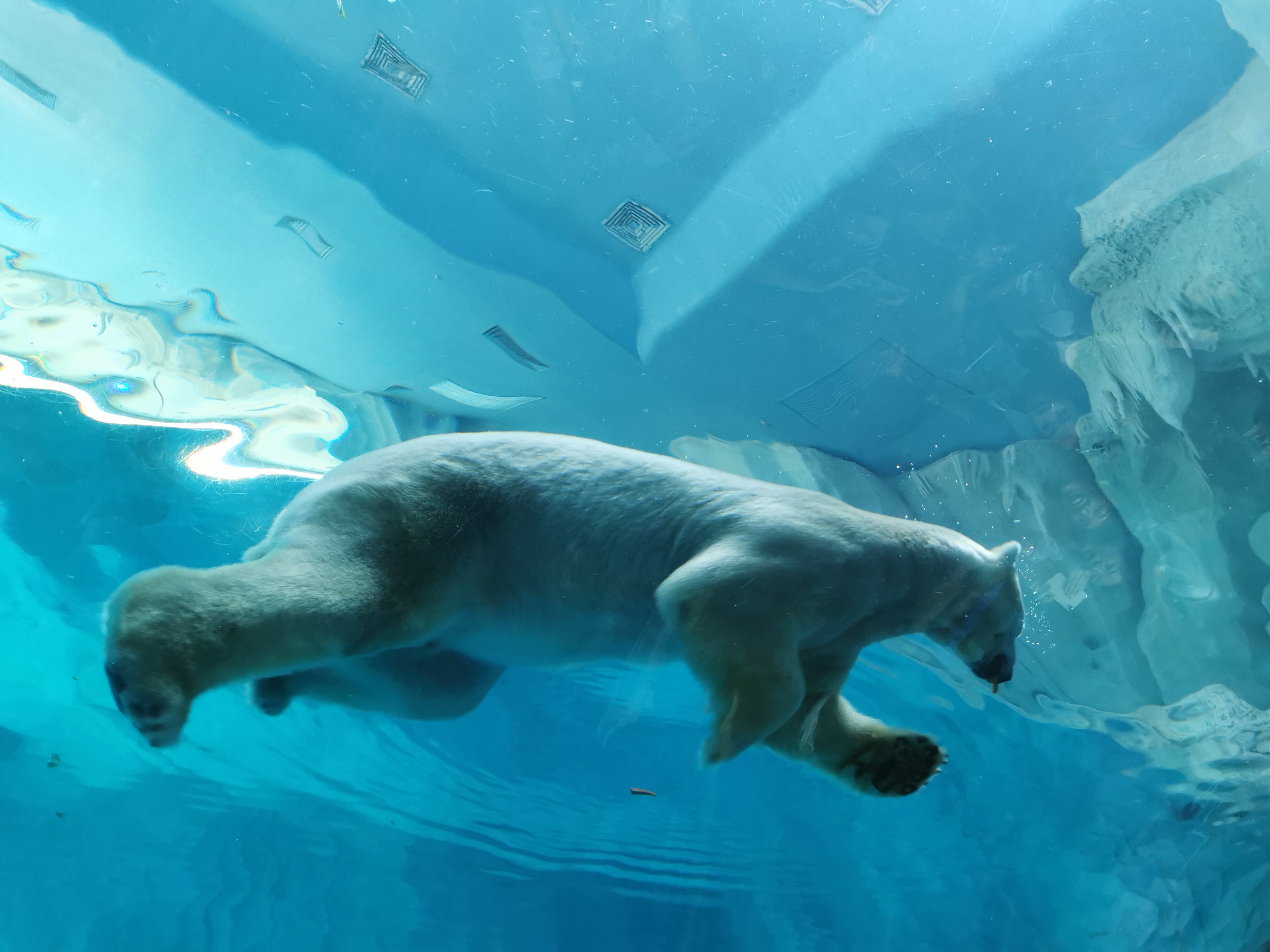 鐝犳捣闀块殕娴锋磱鐜嬪浗鍥藉簡闂ㄧエ,鍥藉簡闀块殕娆箰涓栫晫闂ㄧエ