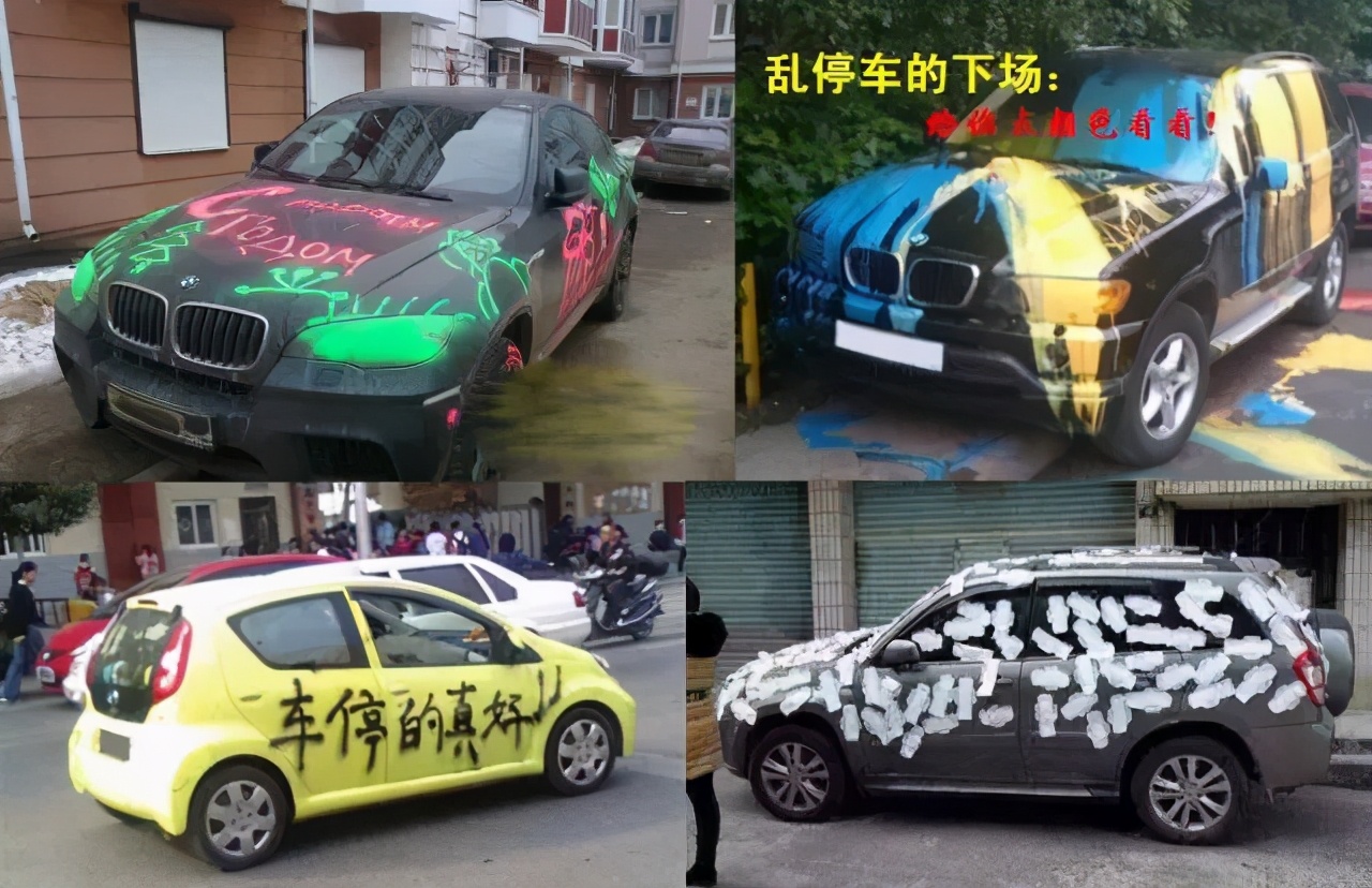 堪比生化武器的罐头,爱斯基摩人吃腌海雀片段