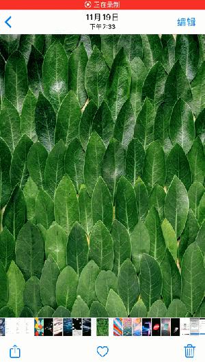 iphone13pro隐藏功能,iphone12mini隐藏功能