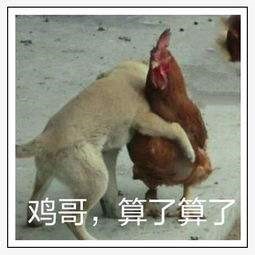 不要再云吸猫了，在《天下》手游里你甚至可以开个动物园