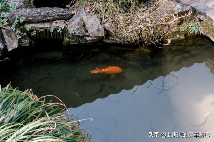 舒适的艺术之城－瓷都（最强景德镇旅游攻略）（二）