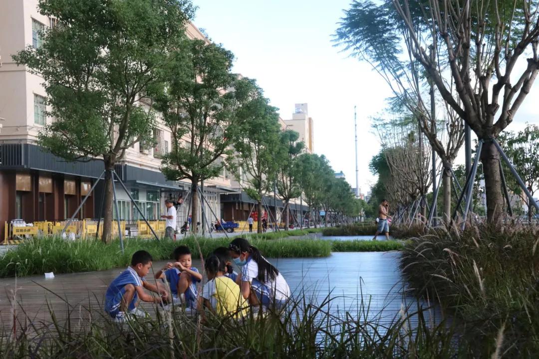 蝶变茅洲河，遇见城之美/同济设计TJAD