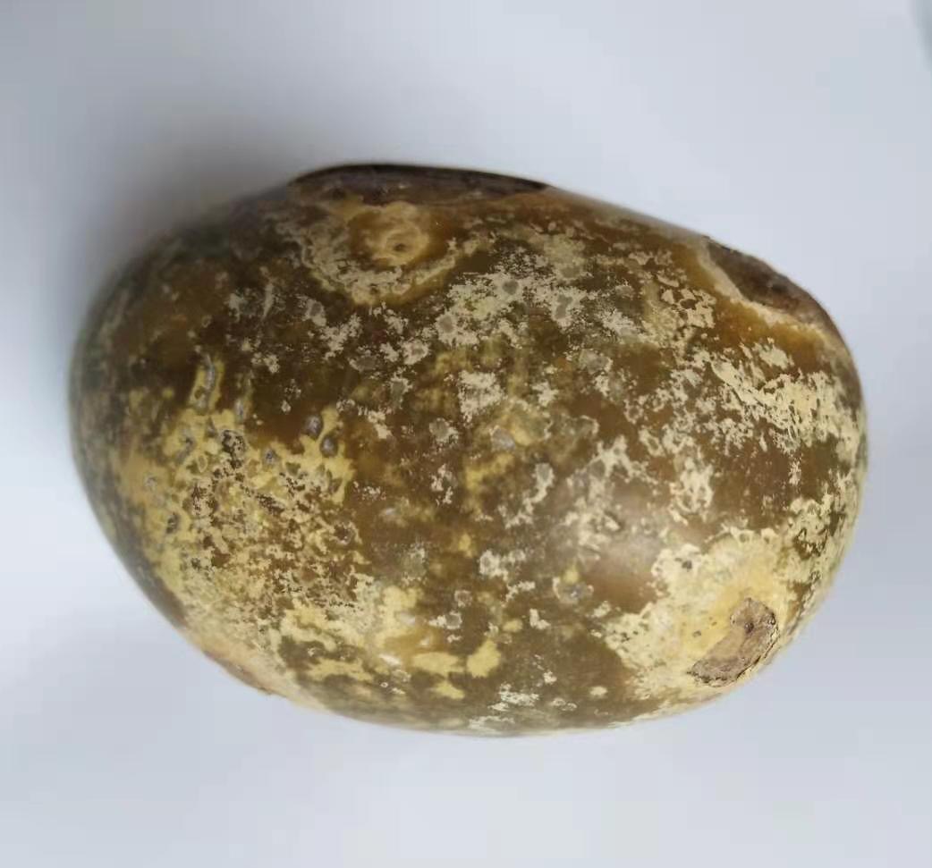 羊宝精品礼盒装,罕见精品羊宝图片