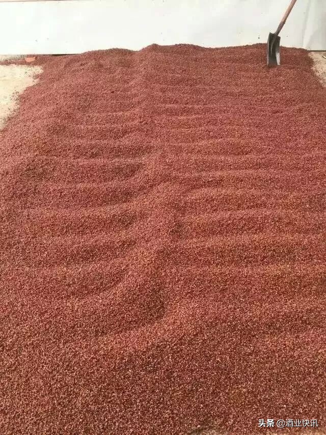 白酒知识酒文化,白酒知识粮食酒