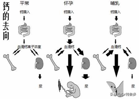 哺乳期女性补钙但是仍然骨质疏松,哺乳期妇女重度骨质疏松
