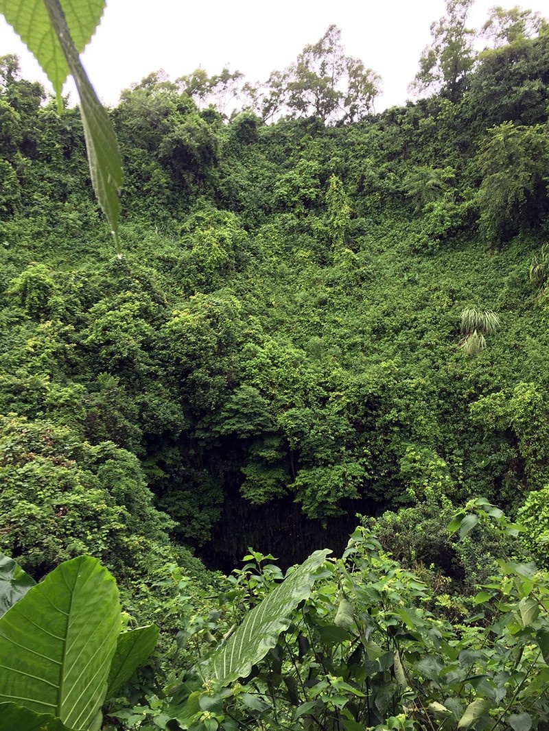 海南租车需要什么手续,海南三亚神州租车价格