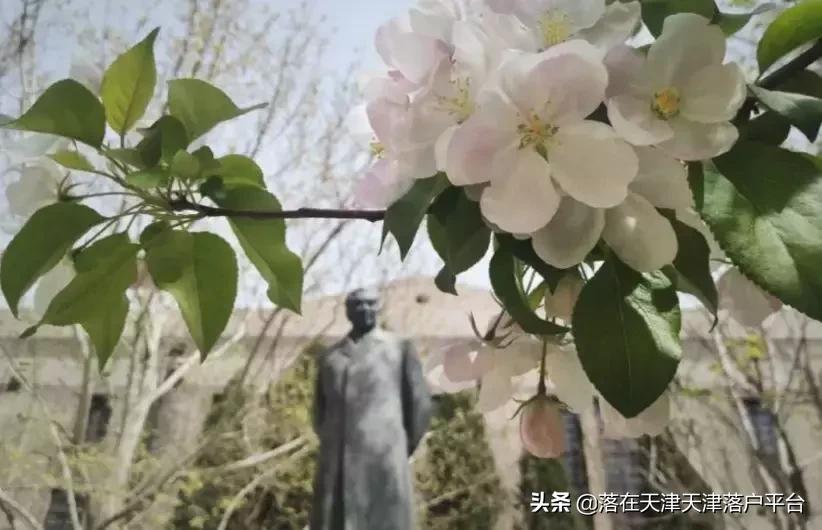 一共有几所南开学校,南开区的中学真实排名