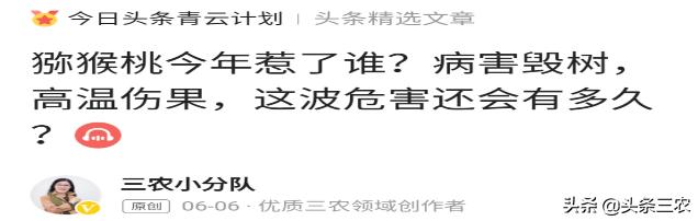 怎么写出又好又叫座的图文？掌握“三问六要诀”|三农讲座大咖说