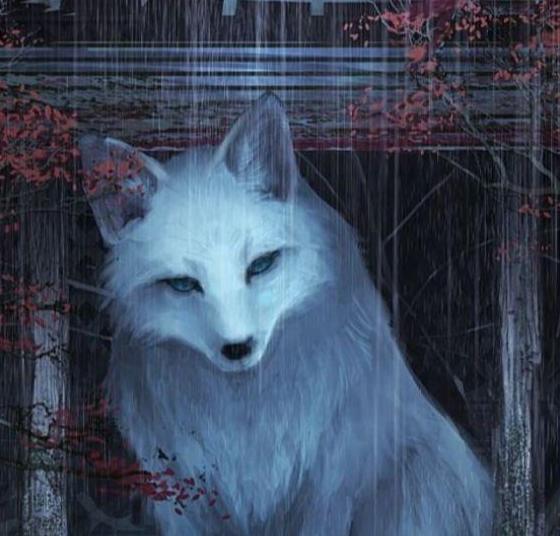 白狐长得竟然如此好看！怪不得狐狸精都是美女