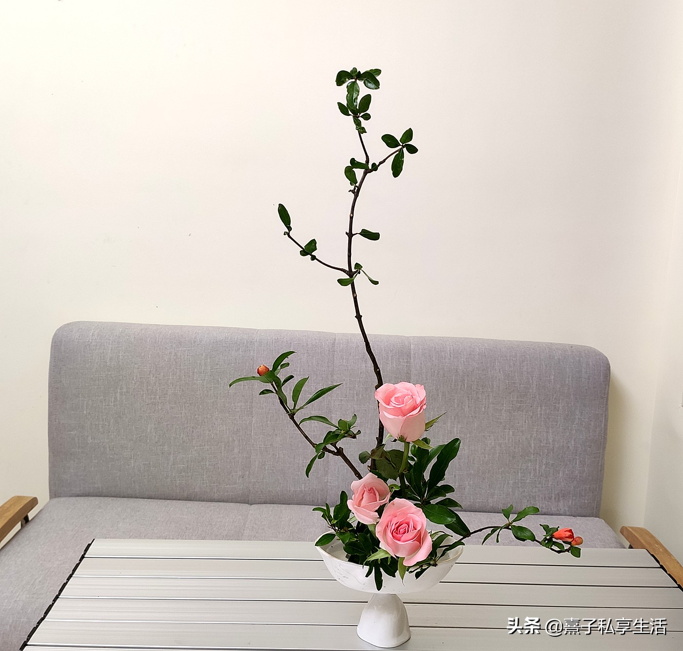 石榴又被人称为什么,石榴好的寓意