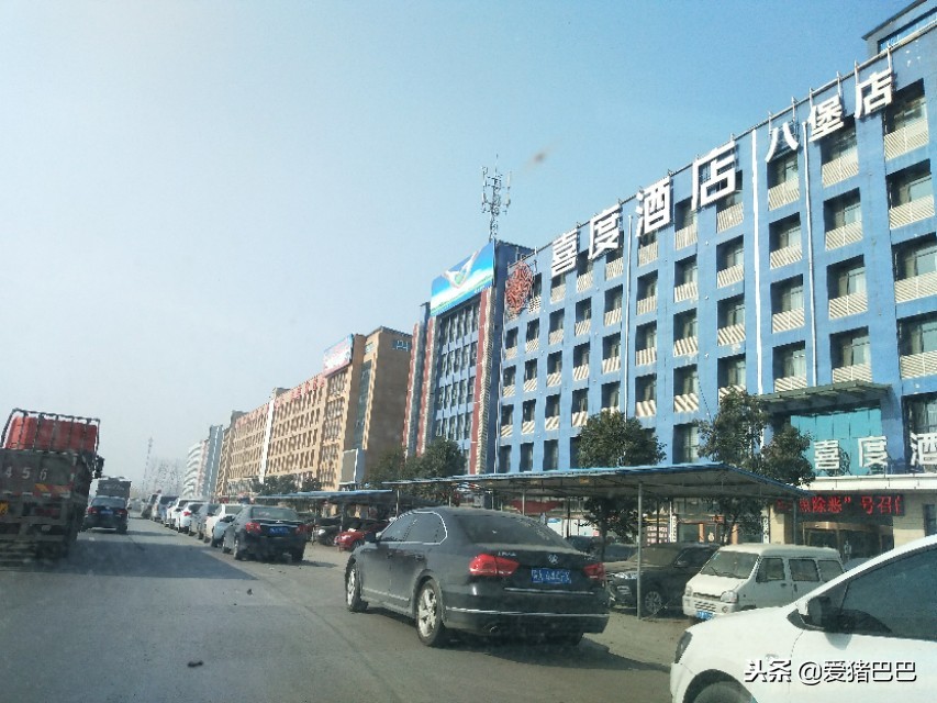 郑州市兽药批发市场哪个最大,全国最大兽药饲料批发市场