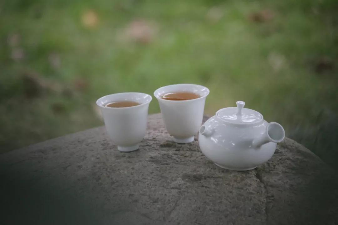 胸闷恶心喝什么茶,空腹喝茶胸闷气短恶心