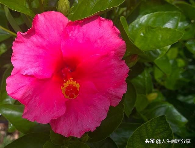 人生格言经典短句励志正能量,正能量人生格言励志短句大全