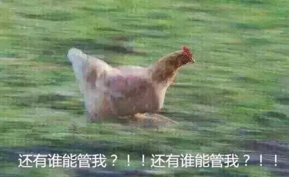 高速路上的指示标牌是怎么看的,高速公路禁止摩托车的指示牌