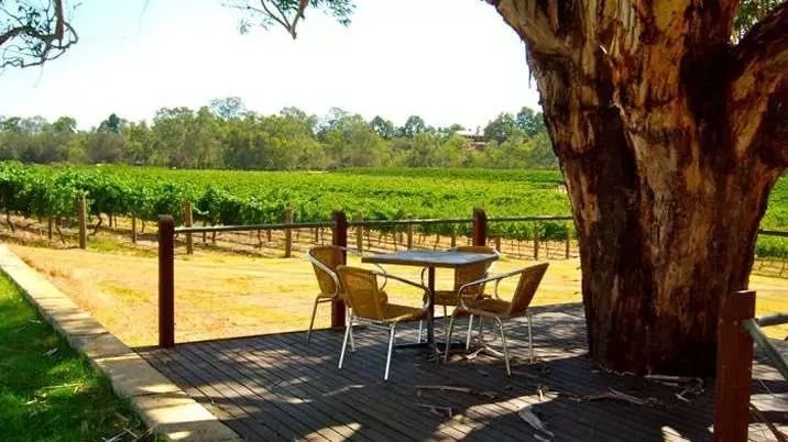 澳洲海外游学，我最推荐这座城市