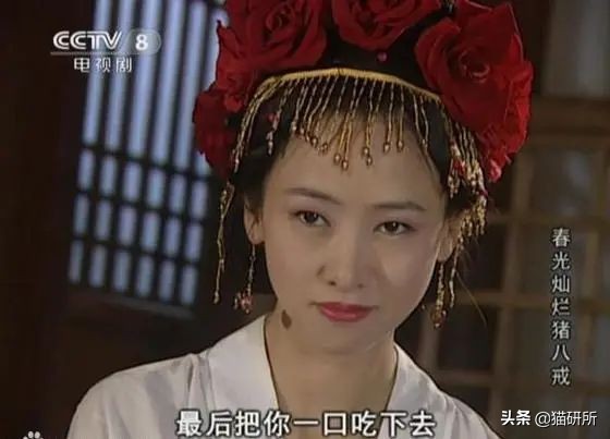 为什么猫咪那么傲娇还有人喜欢,猫咪这么可爱怎么有人舍得伤害