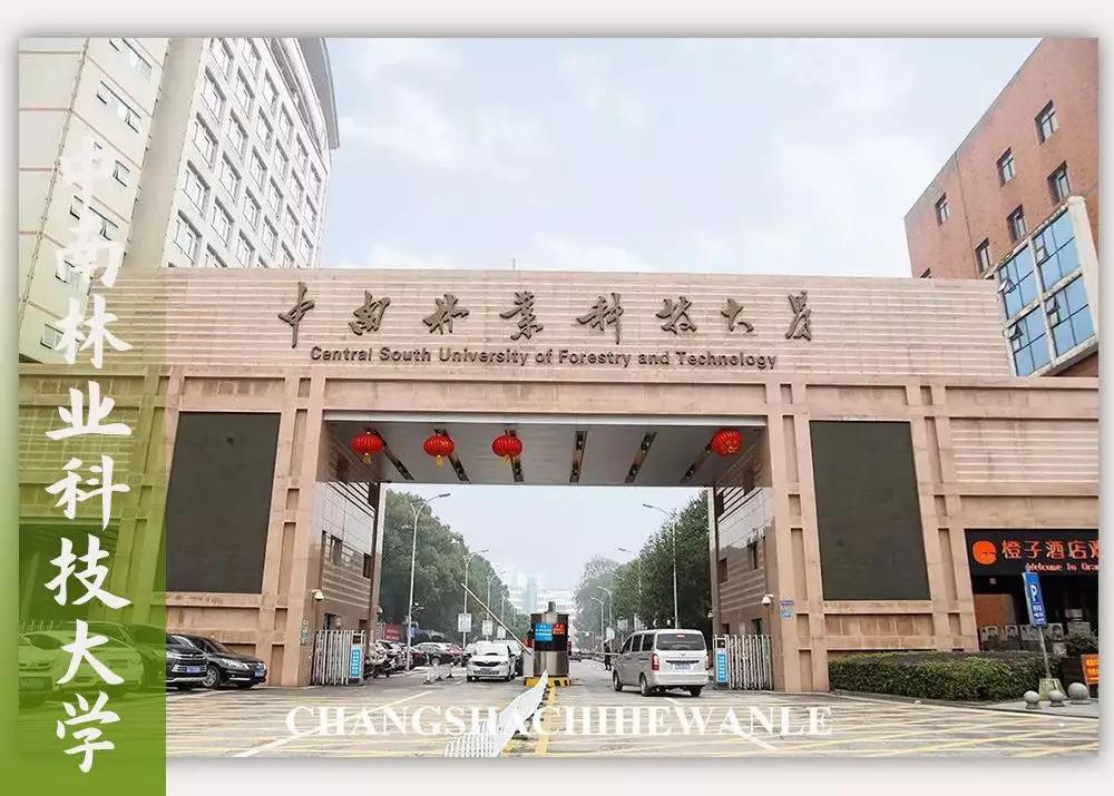 母校我想你,想你母校