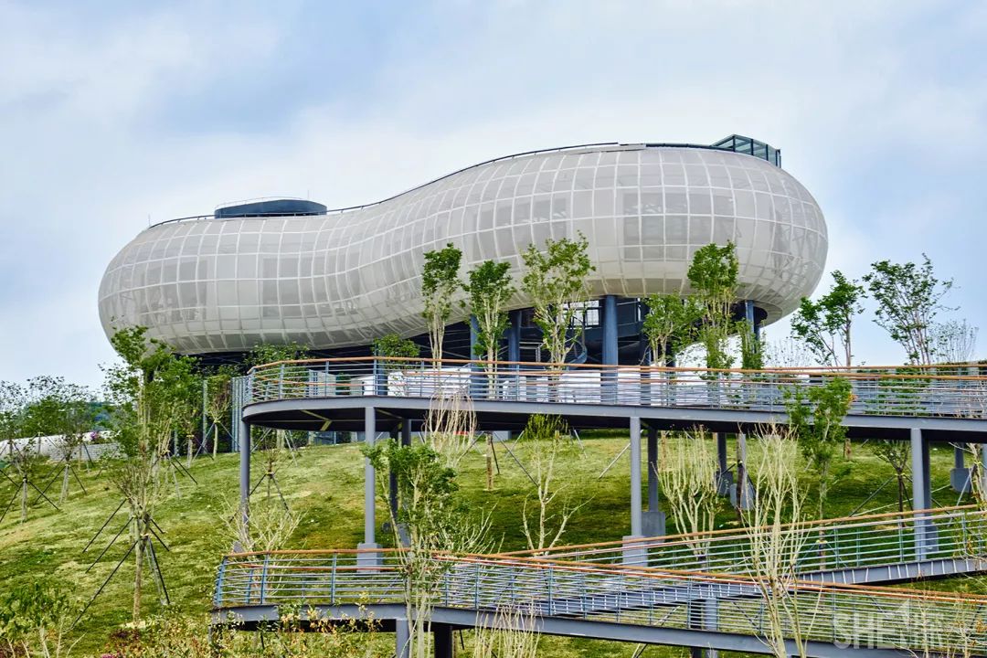 深圳龙华公园推荐,深圳龙华免费公园