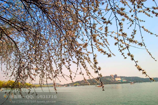 photoshop抠图技巧大全,photoshop教学抠图详细教程