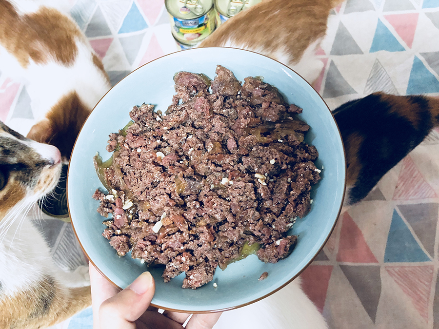 猫咪尿不出来多喝水还是少喝水,猫咪不爱喝水试试这个办法视频