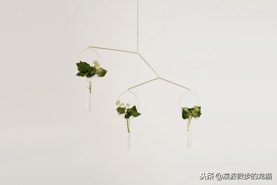 创意干花装饰小花瓶,创意花瓶加花