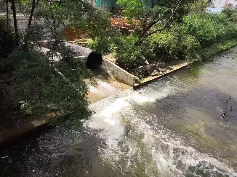 光明这些河流又有新变化，多个好消息密集来报~