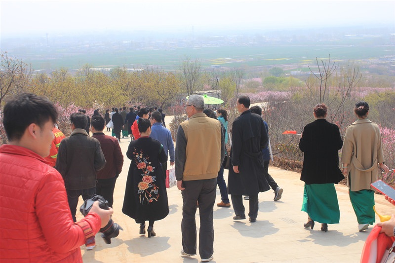 枣庄峄城仙人洞桃花节,峄城仙人洞桃花节直播