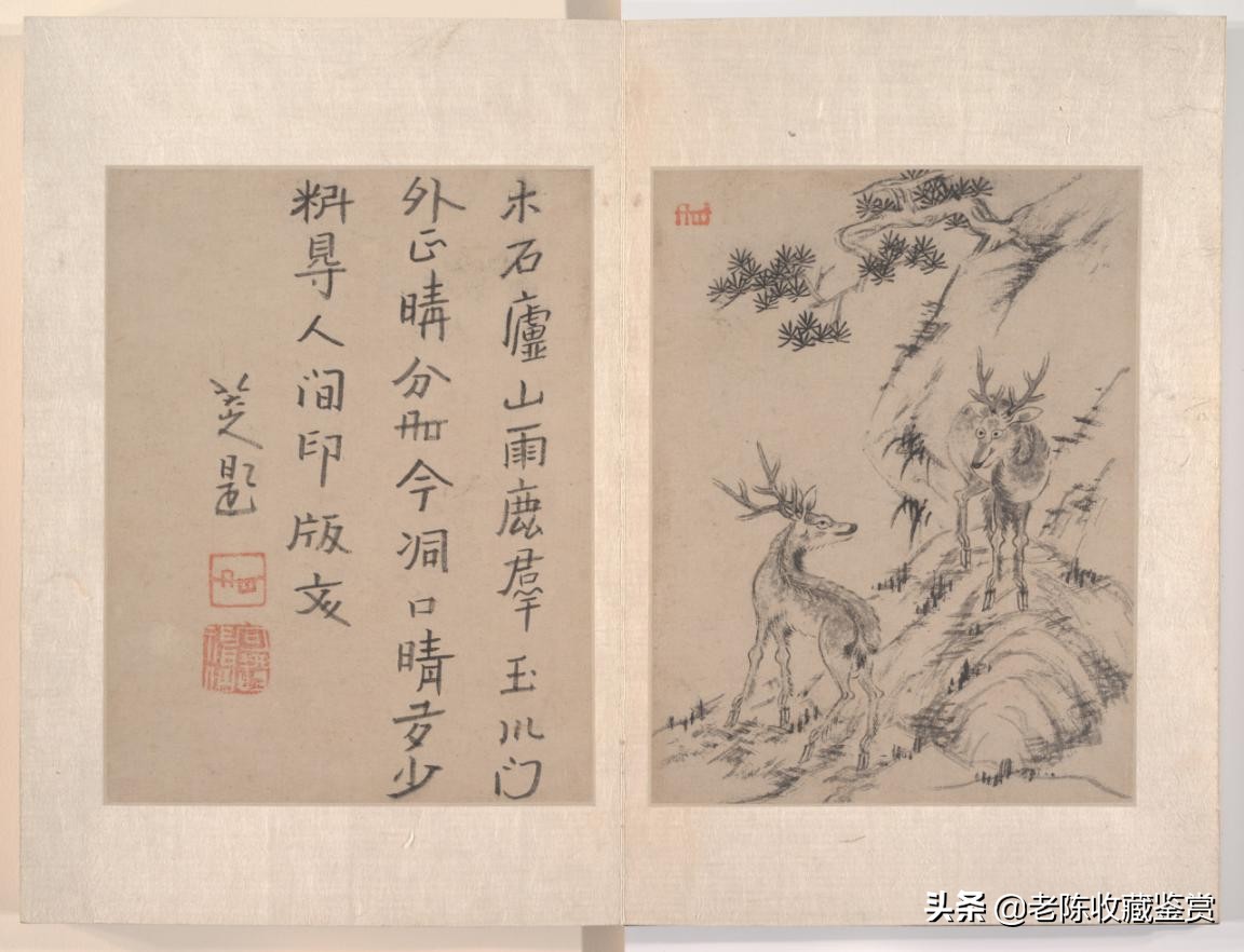 八大山人鹿图,八大山人松鹿图赏析