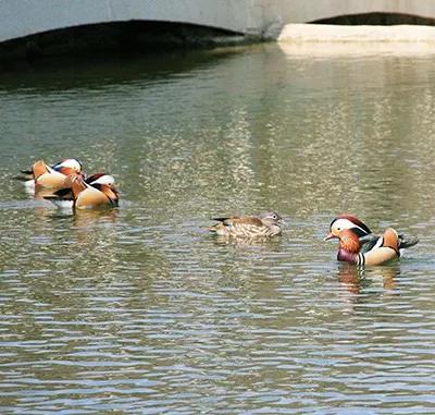 大连东泉温泉营业时间,大连石河氡泉温泉价目表