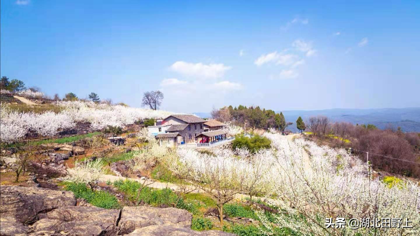 推荐的民宿采摘,浙江隐匿山野的民宿桃源仙境