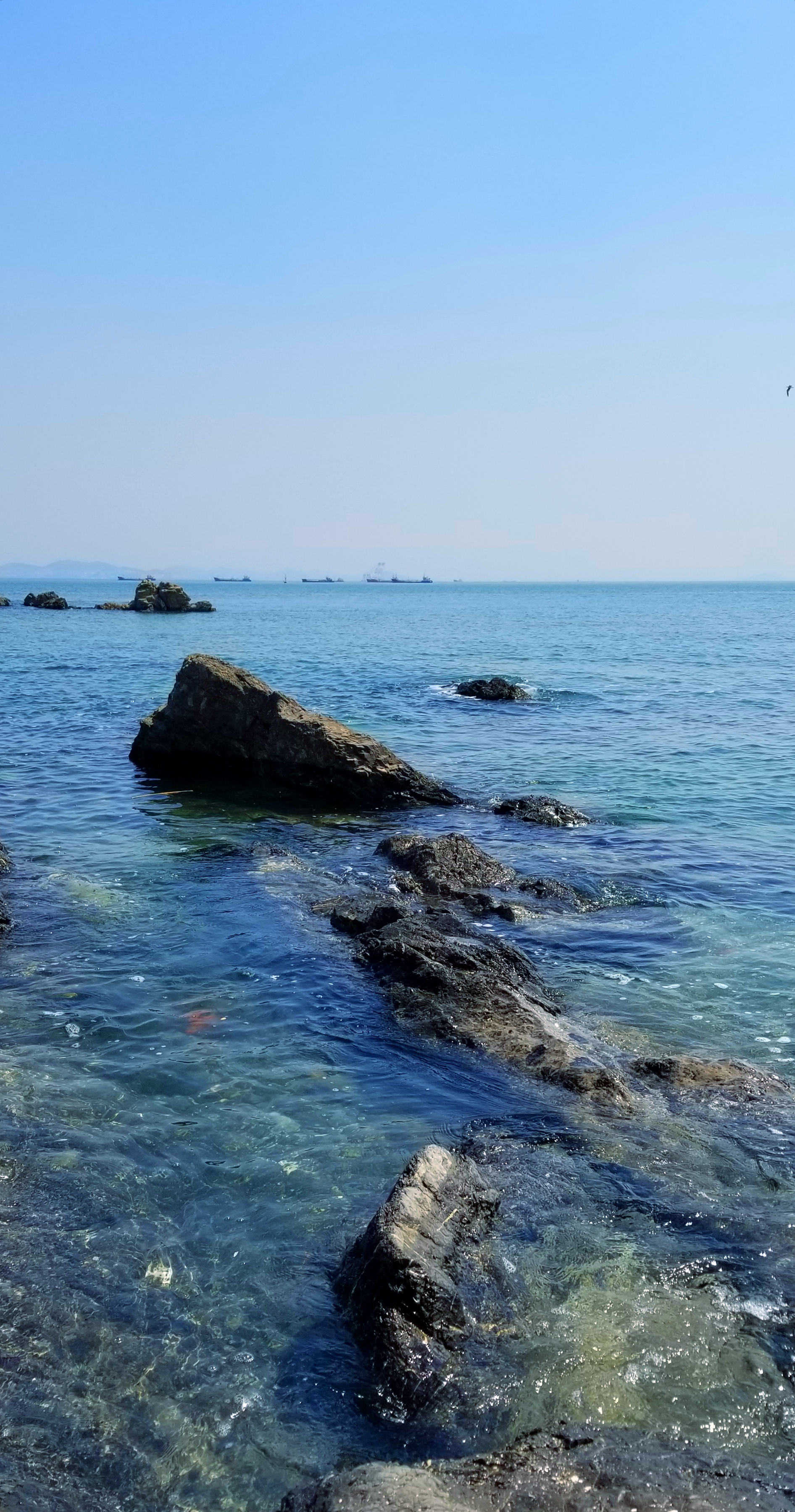 大连甘井子区蟹子湾,大连蟹子湾公园对岸夜景