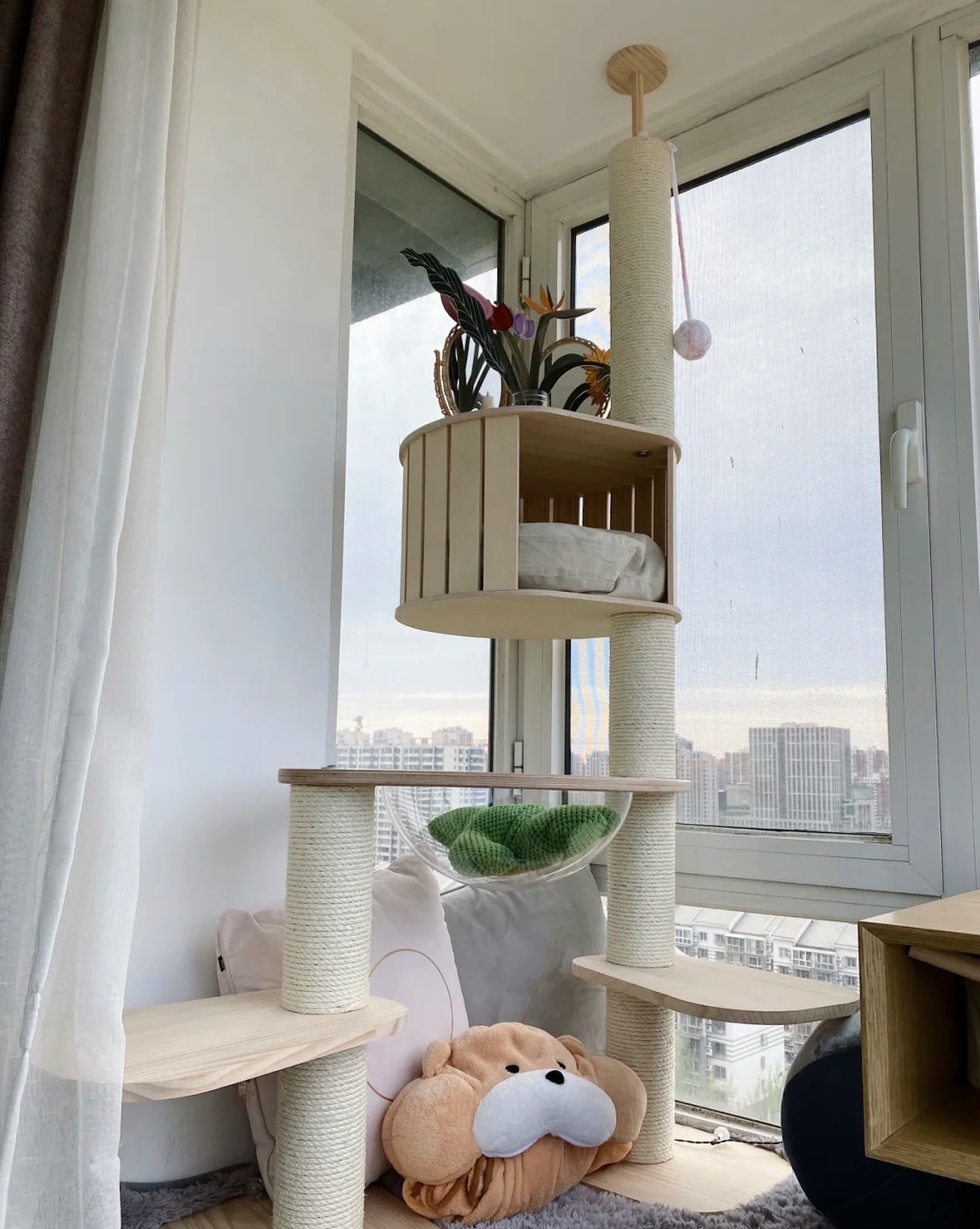 新手养猫必备好物新手铲屎官必看,养猫家庭装修要注意什么