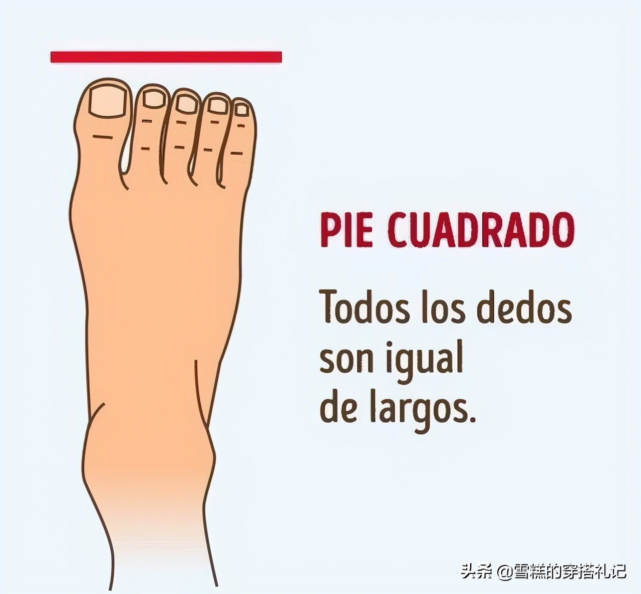 夏天配裙子的百搭鞋,圆头高腰鞋怎么搭配裤子好看