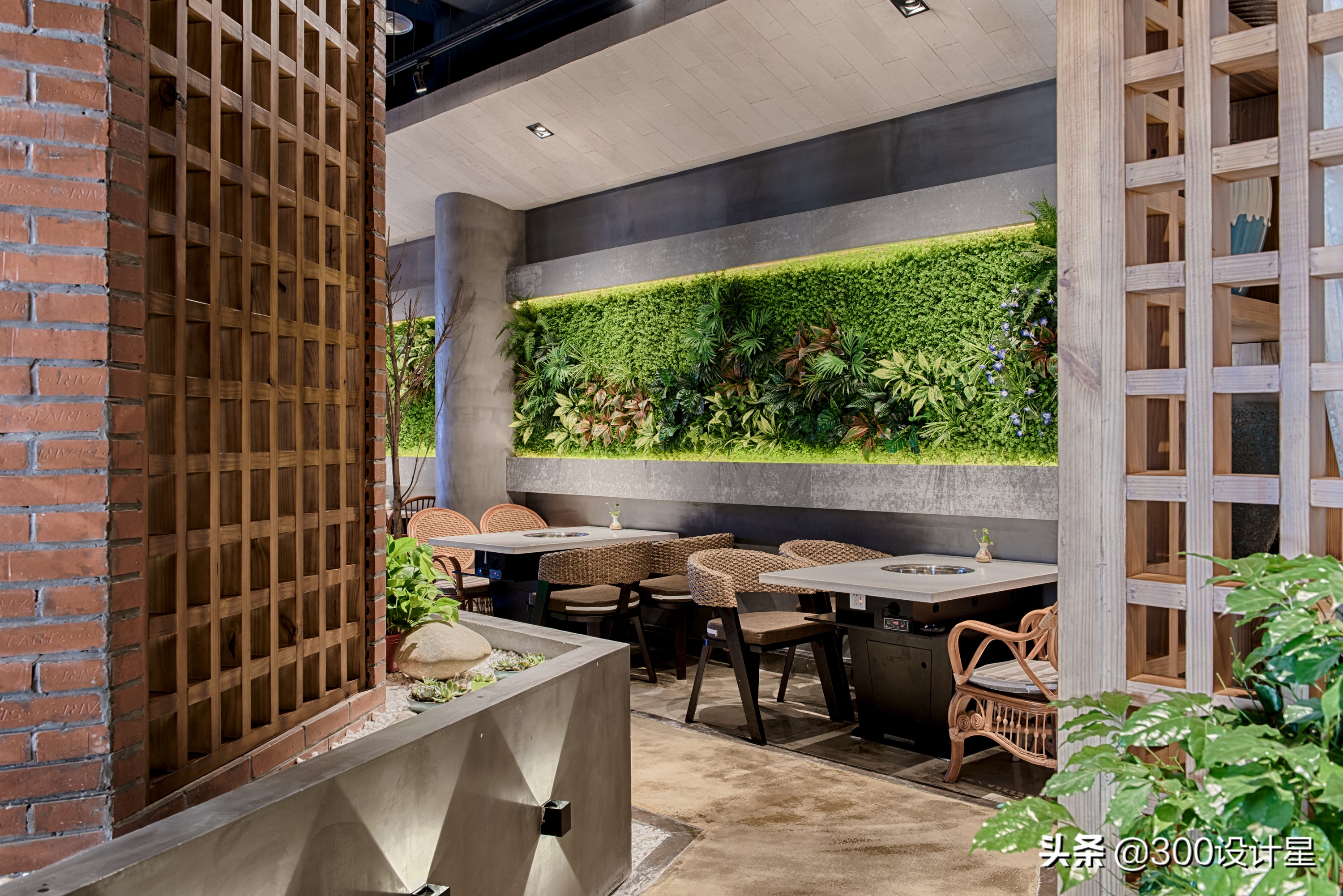 鍒樼啝椁愰ギ绠＄悊,鍒樼啝鏃ュ父