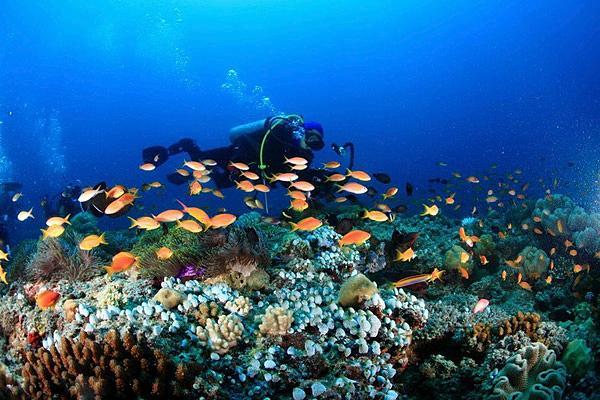 2020马尔代夫旅游游记,马尔代夫旅游自由行详细攻略