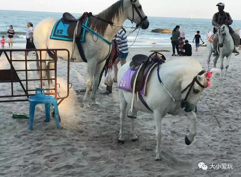 暑假出游酒店推荐 (暑假旅游机票攻略)