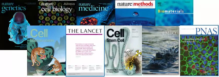 鎴愰兘鍖荤編琛屼笟鍏ㄥ浗绗竴,鎴愰兘鍖荤編鏈烘瀯鐢熸剰鎸佺画鐏垎