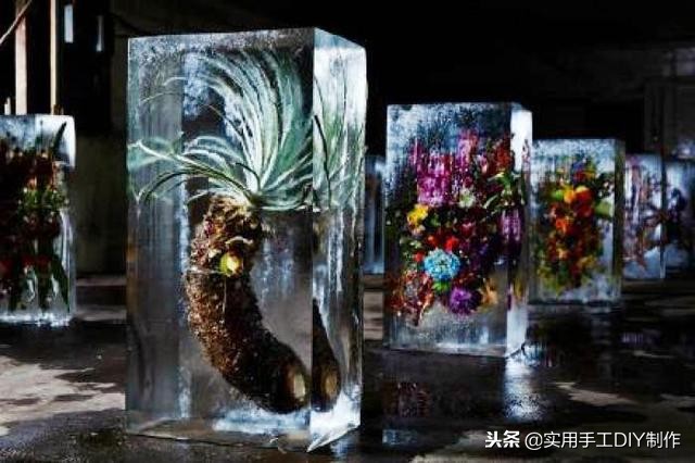 鲜花摄影作品欣赏,高清鲜花美图