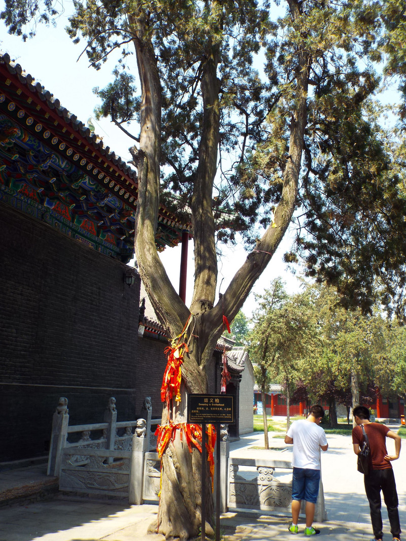 关老爷死而复生,关老爷死而复生哪一集