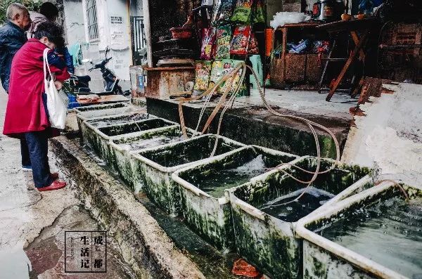 成都同根生,成都北门对比南门